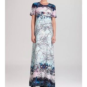 bcbgmaxazria maxi dresses size M